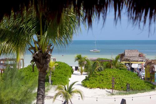 Casa Iguana, Holbox