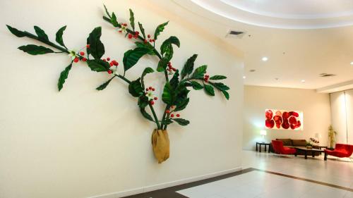 Holiday Inn Express Tapachula, Tapachula