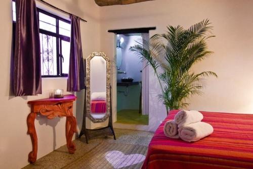 Hafa, Sayulita