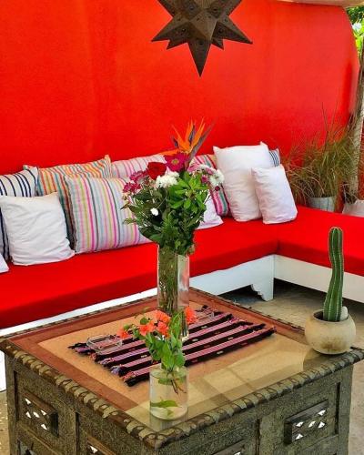 Hafa, Sayulita