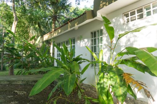 Villas Bambú, Chetumal