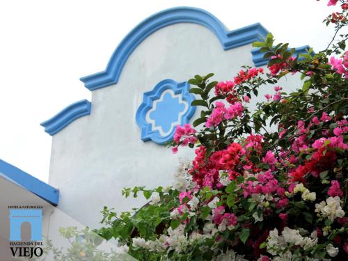 Hacienda del Viejo, Matamoros