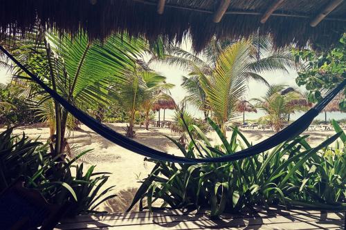 Almaplena Eco Beach Resort, Mahahual