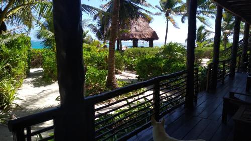 Sol Caribe, Punta Allen