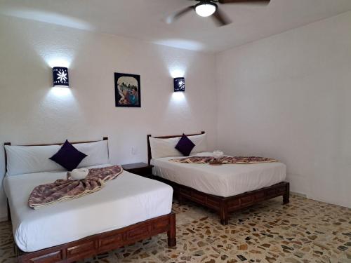 Quinta Paraíso Cocoyoc, Cocoyoc