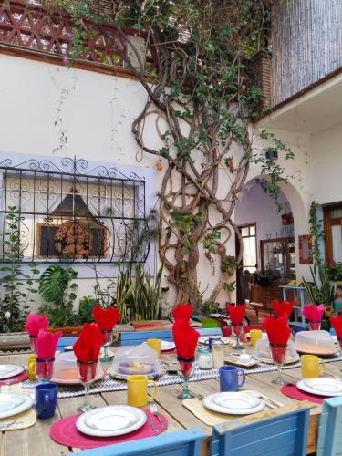El Diablo y la Sandía Libres, Oaxaca