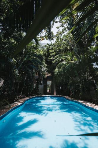 Casa Bárbara, Holbox