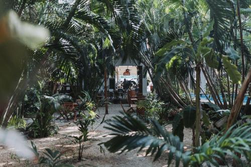 Casa Bárbara, Holbox