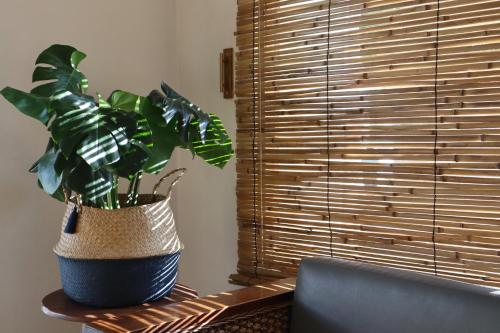 3B Hostel, Playa del Carmen