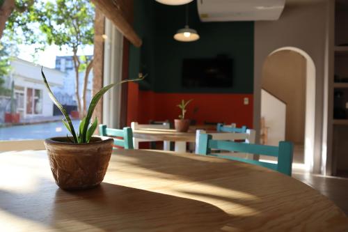 3B Hostel, Playa del Carmen