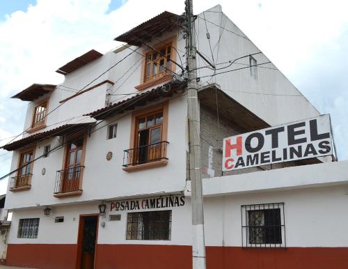 Camelinas, Pátzcuaro