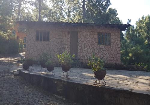 Cabañas del Bosque, Mazamitla