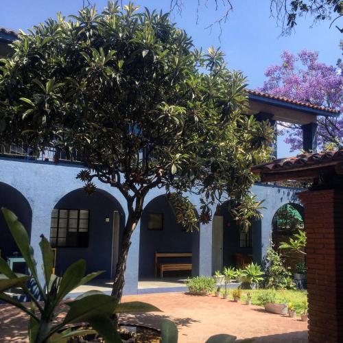 La Betulia, Oaxaca