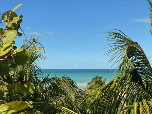 Palapas Del Sol, Holbox