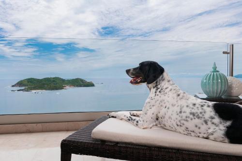 Azul Ixtapa Grand, Ixtapa / Zihuatanejo