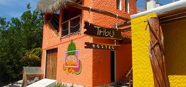 Tribu Hostel, Holbox