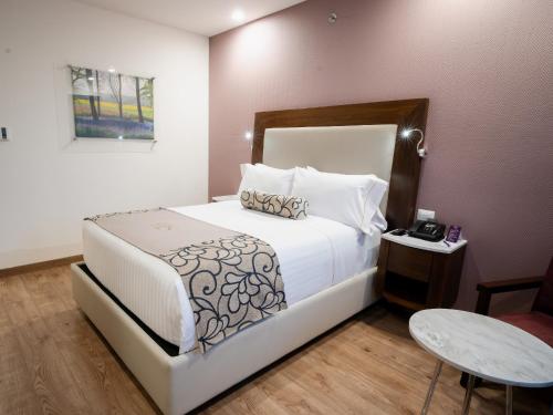 HS Hotsson Querétaro, Querétaro