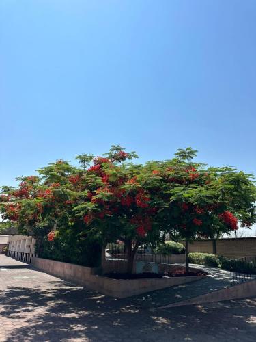 Oliver Inn Querétaro, Querétaro