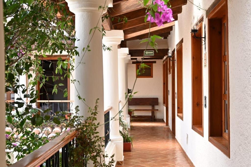 Provincia, San Cristóbal de las Casas