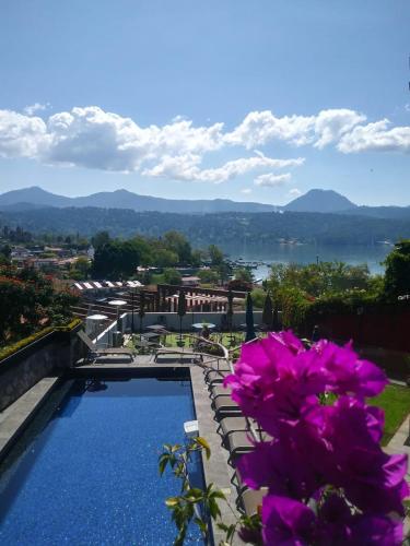 Araucaria, Valle de Bravo