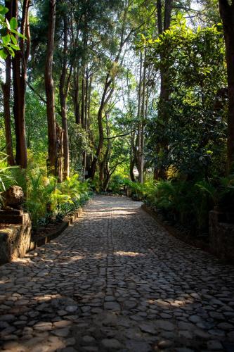 Amomoxtli, Tepoztlán