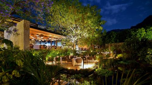 Amomoxtli, Tepoztlán