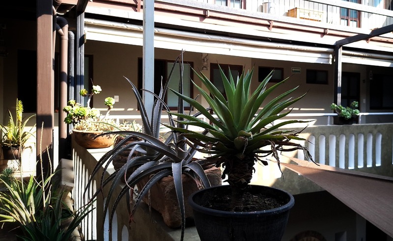 El Descanso Hostal, Puebla