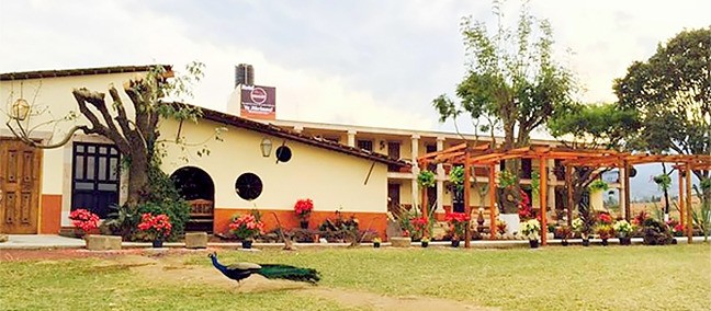 Chalet de Colombo, Ciudad Guzmán
