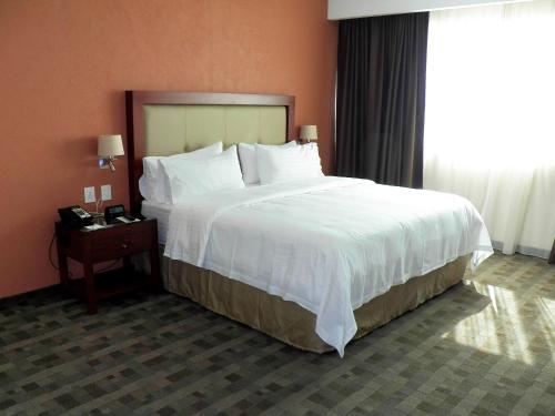 Holiday Inn and Suites Plaza Mayor, León