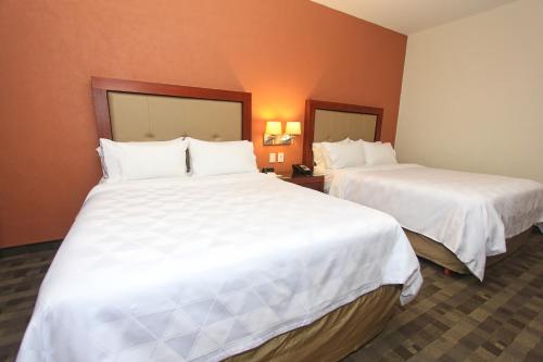 Holiday Inn and Suites Plaza Mayor, León