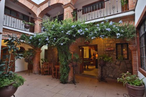 Casa de Vino, Tequisquiapan