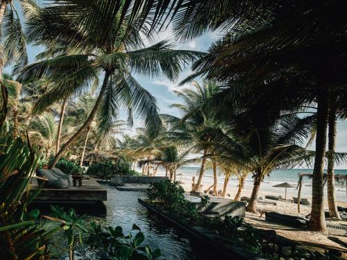 Nomade, Tulum