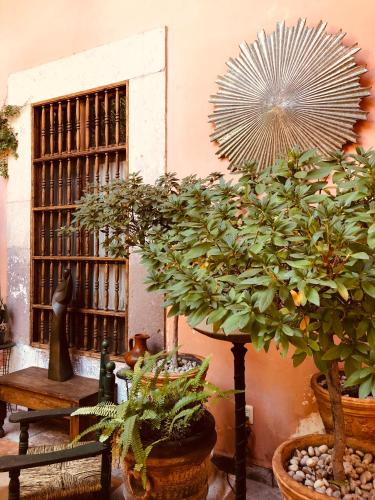 Casa Eugenia, Morelia