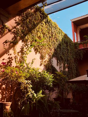 Casa Eugenia, Morelia