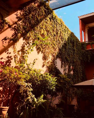 Casa Eugenia, Morelia