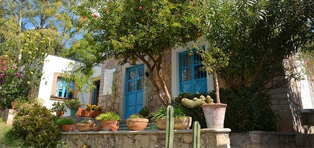 Paradiso Perduto, Guanajuato
