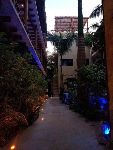 La Constanza de Rulo, Holbox