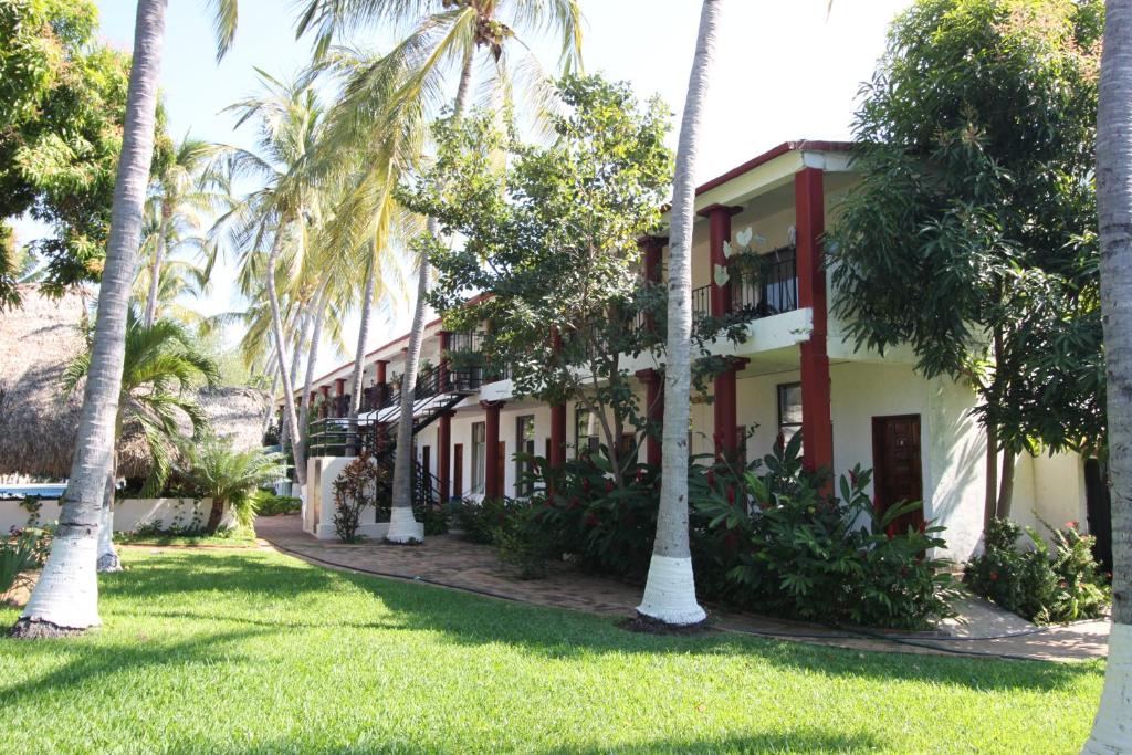 Albatros, Puerto Escondido