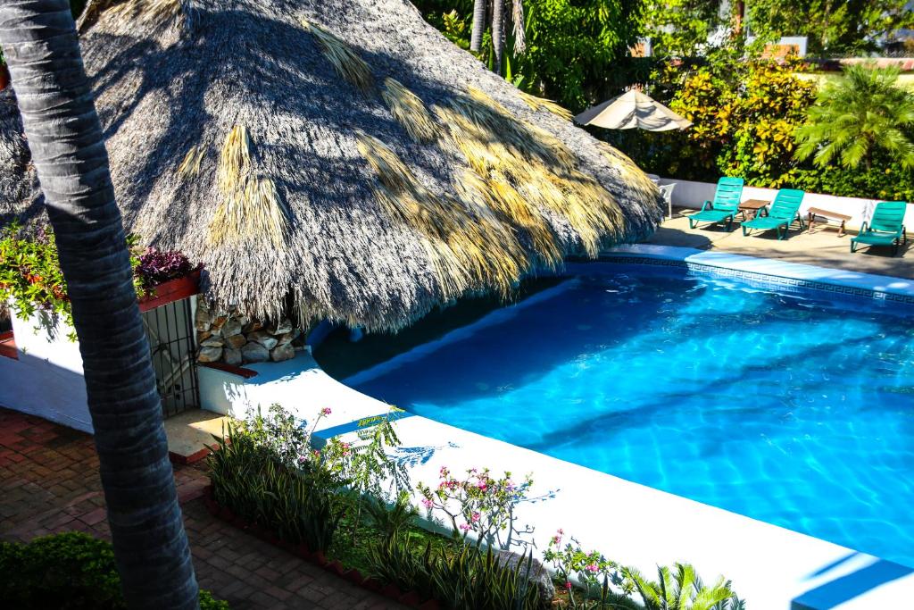 Albatros, Puerto Escondido