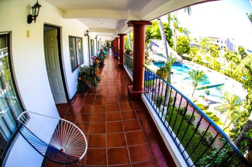 Albatros, Puerto Escondido