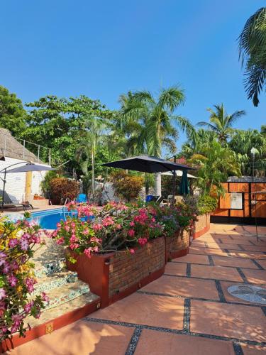 Swiss Oasis, Puerto Escondido