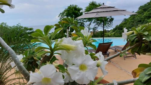 Oceanomar, Mazunte
