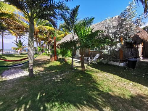 Las Cabañas del Doctor, Mahahual