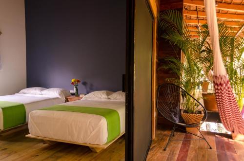 Noga, Zipolite