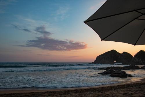 Noga, Zipolite