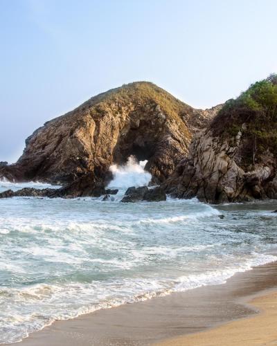 Noga, Zipolite