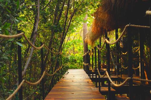 Noga, Zipolite