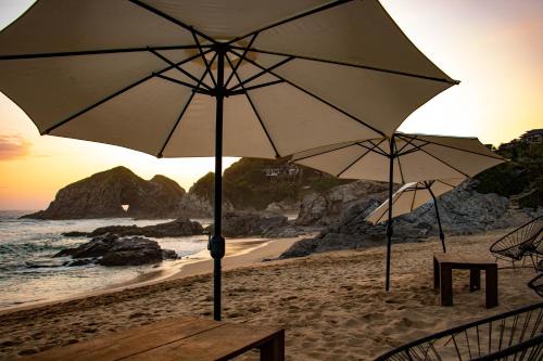 Noga, Zipolite