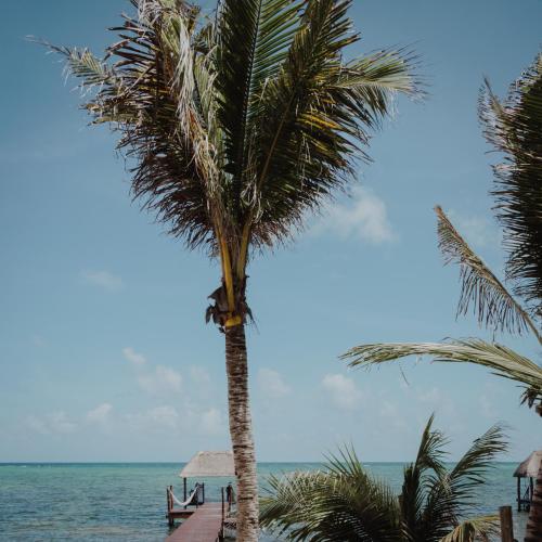 Cielo Maya, Tulum
