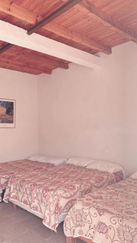 Catorce Capital, Real de Catorce